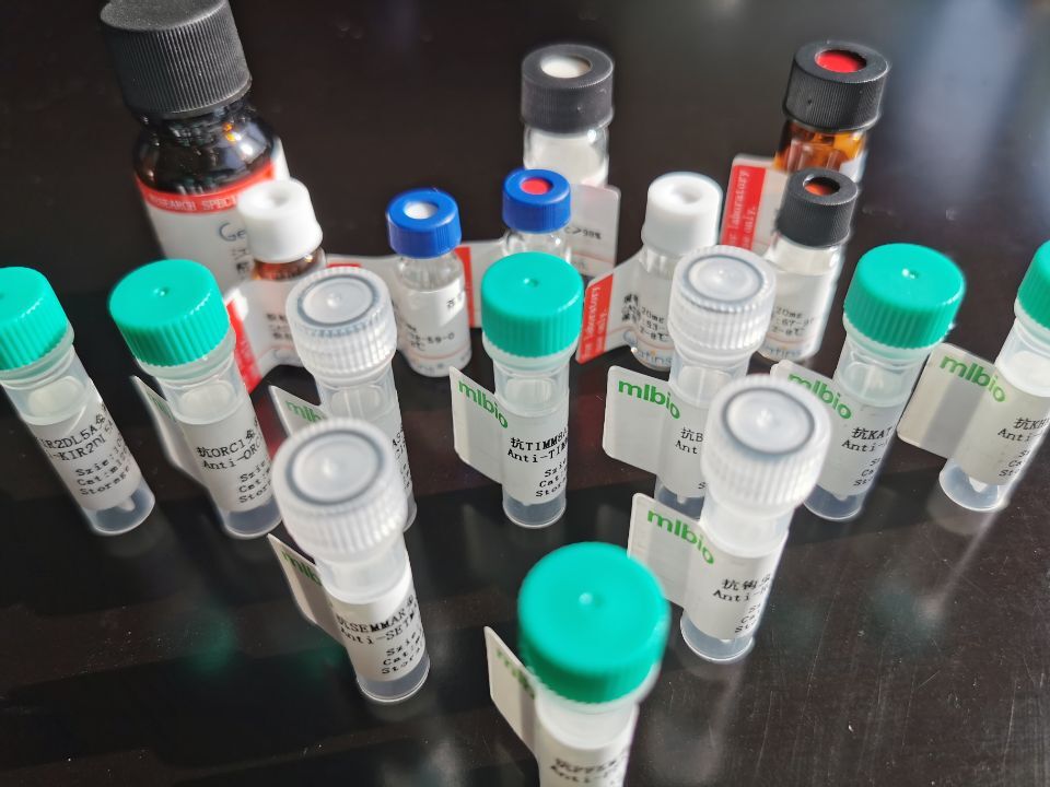 MCM10抗原（重組蛋白）