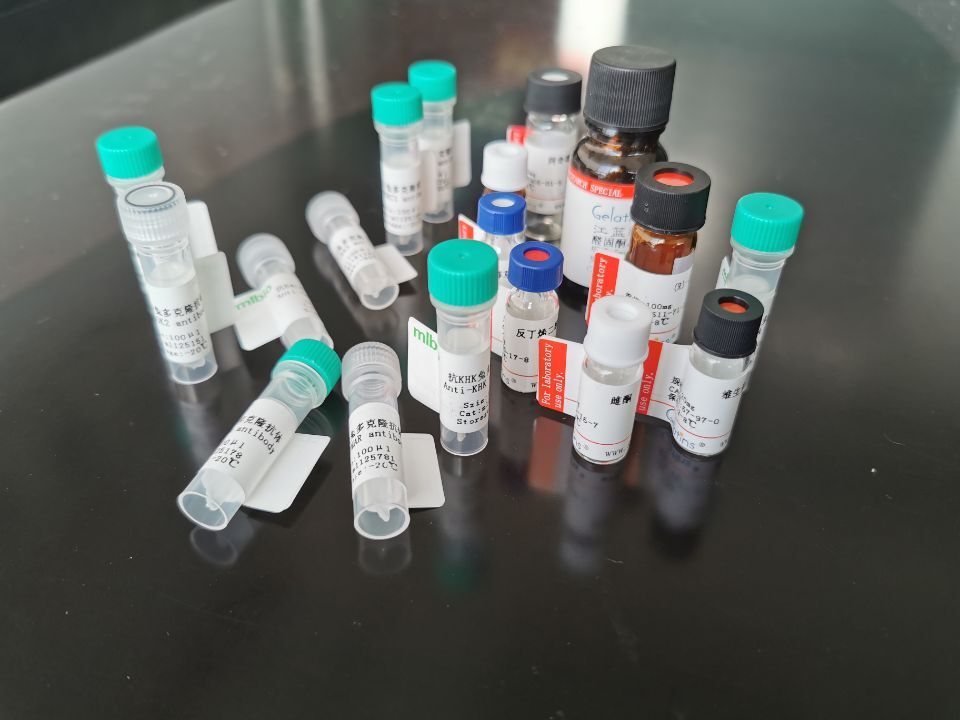 STX18抗原（重組蛋白）