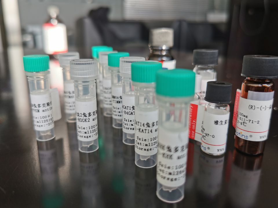 TADA3抗原（重組蛋白）