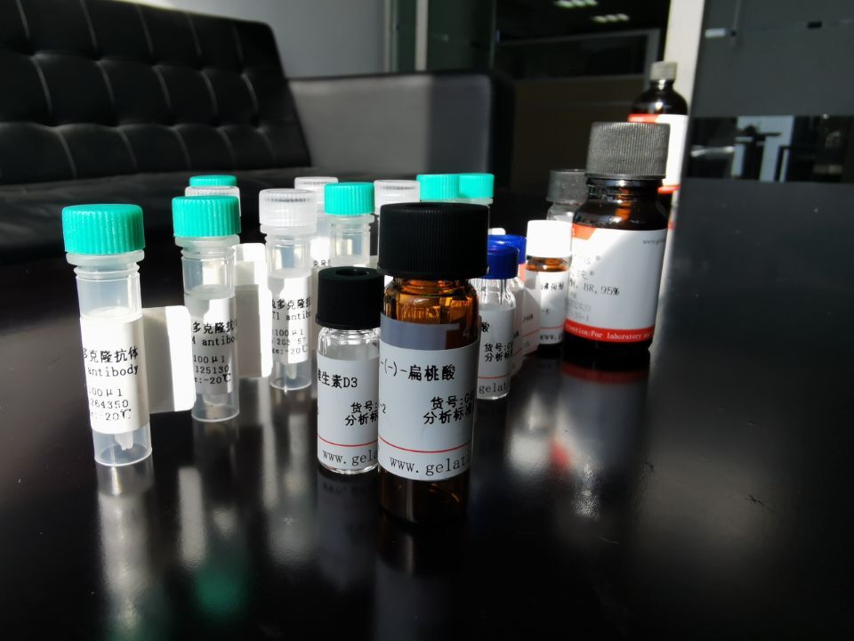 UBE2G2抗原（重組蛋白）