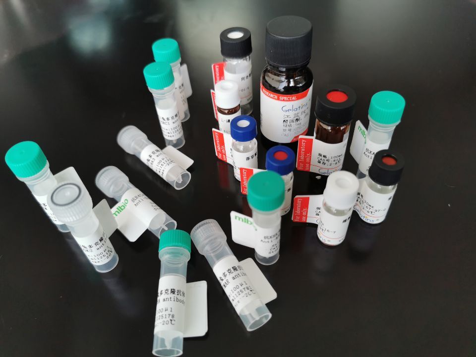 VDAC1抗原（重組蛋白）