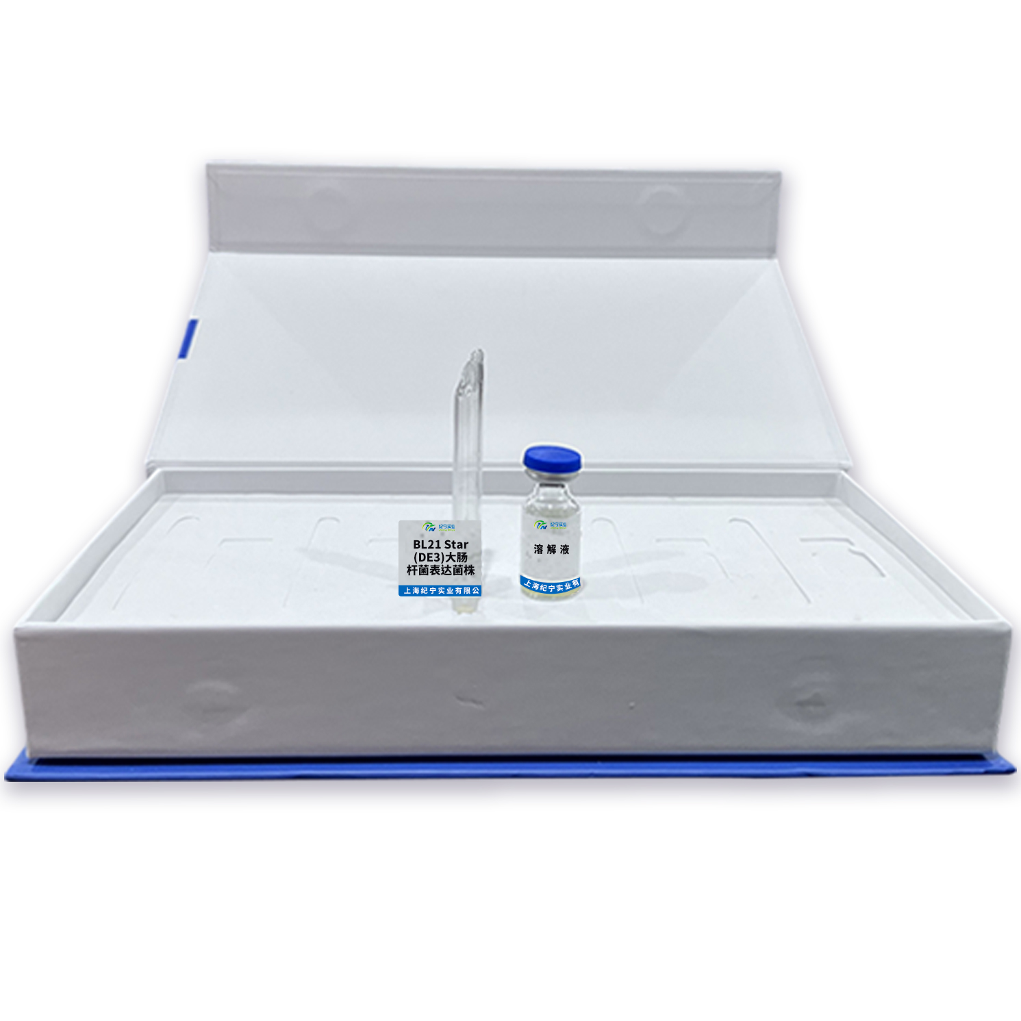 BL21 Star(DE3)大腸桿菌表達菌株