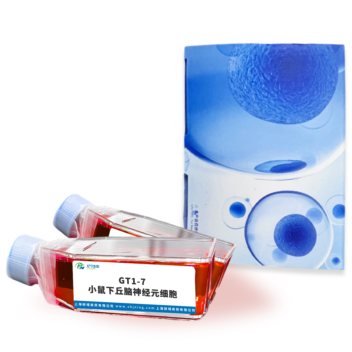 GT1-7小鼠下丘腦神經元細胞
