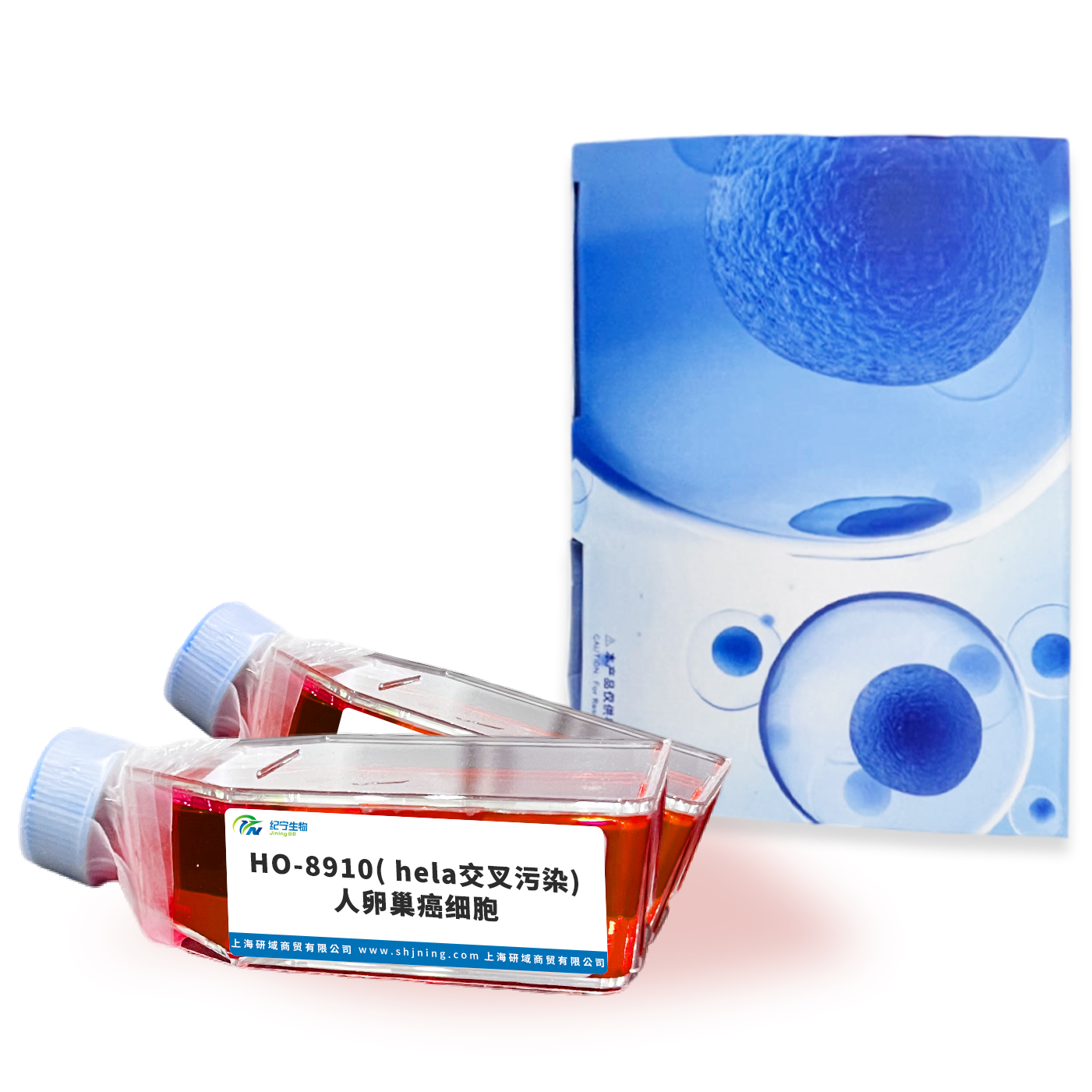 HO-8910( hela交叉污染)人卵巢癌細胞