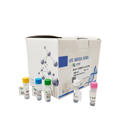 人乳頭瘤病毒73探針法qPCR試劑盒