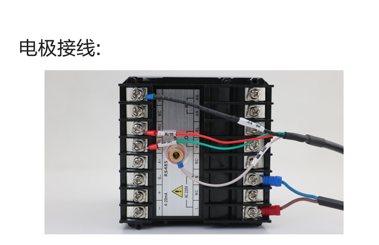 大鼠ELISA試劑盒